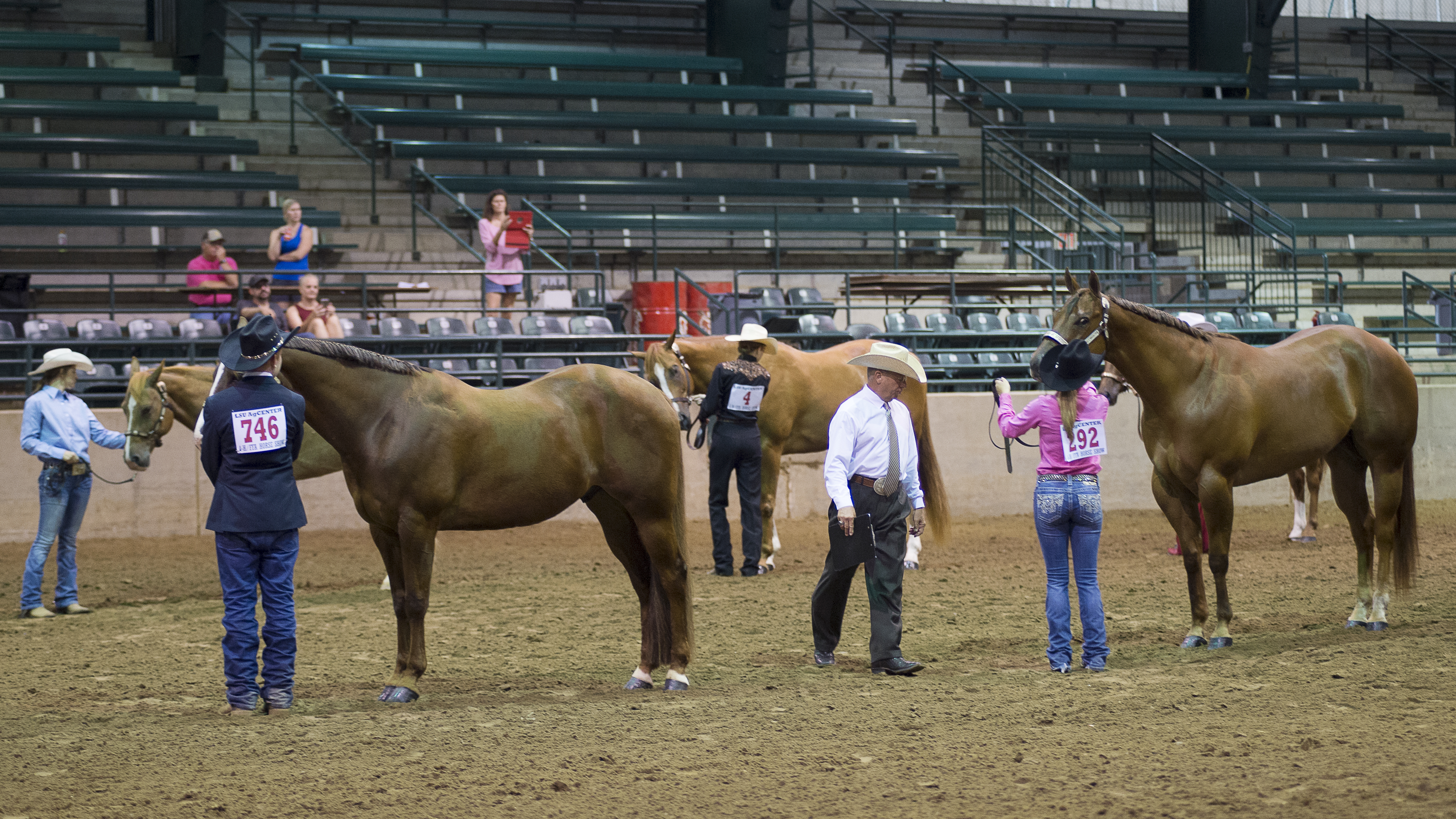 Youth from around the state win big at the 2021 State 4-H Horse Show 